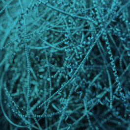 Annahmebedingungen Schrott und Metall 