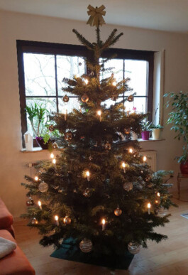 Weihnachten bei Karle Recycling Karle Recycling