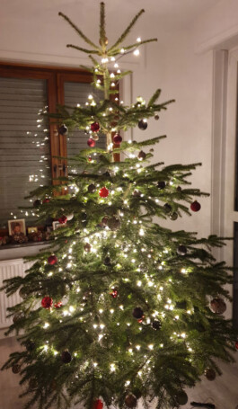 Weihnachten bei Karle Recycling Karle Recycling