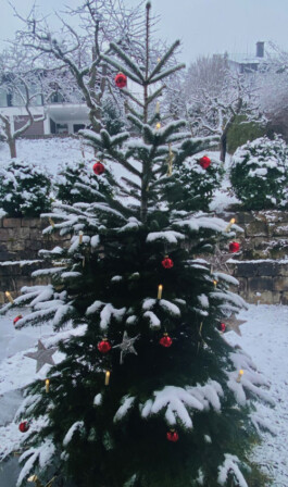 Weihnachten bei Karle Recycling Karle Recycling