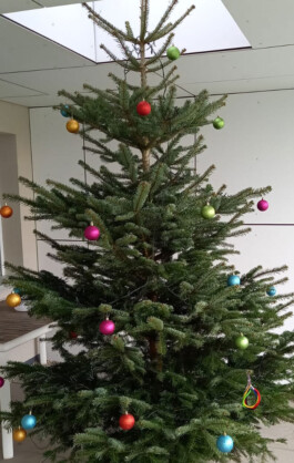 Weihnachten bei Karle Recycling Karle Recycling