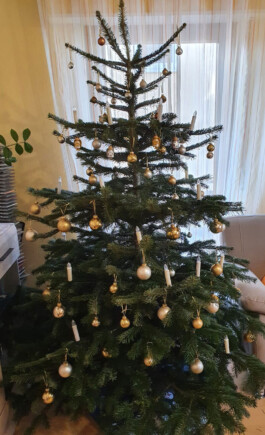 Weihnachten bei Karle Recycling Karle Recycling