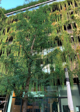 Grüne Fassade Calwer Passage 