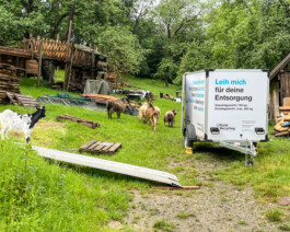 Kurzmeldungen aus der Karle Gruppe Karle Recycling